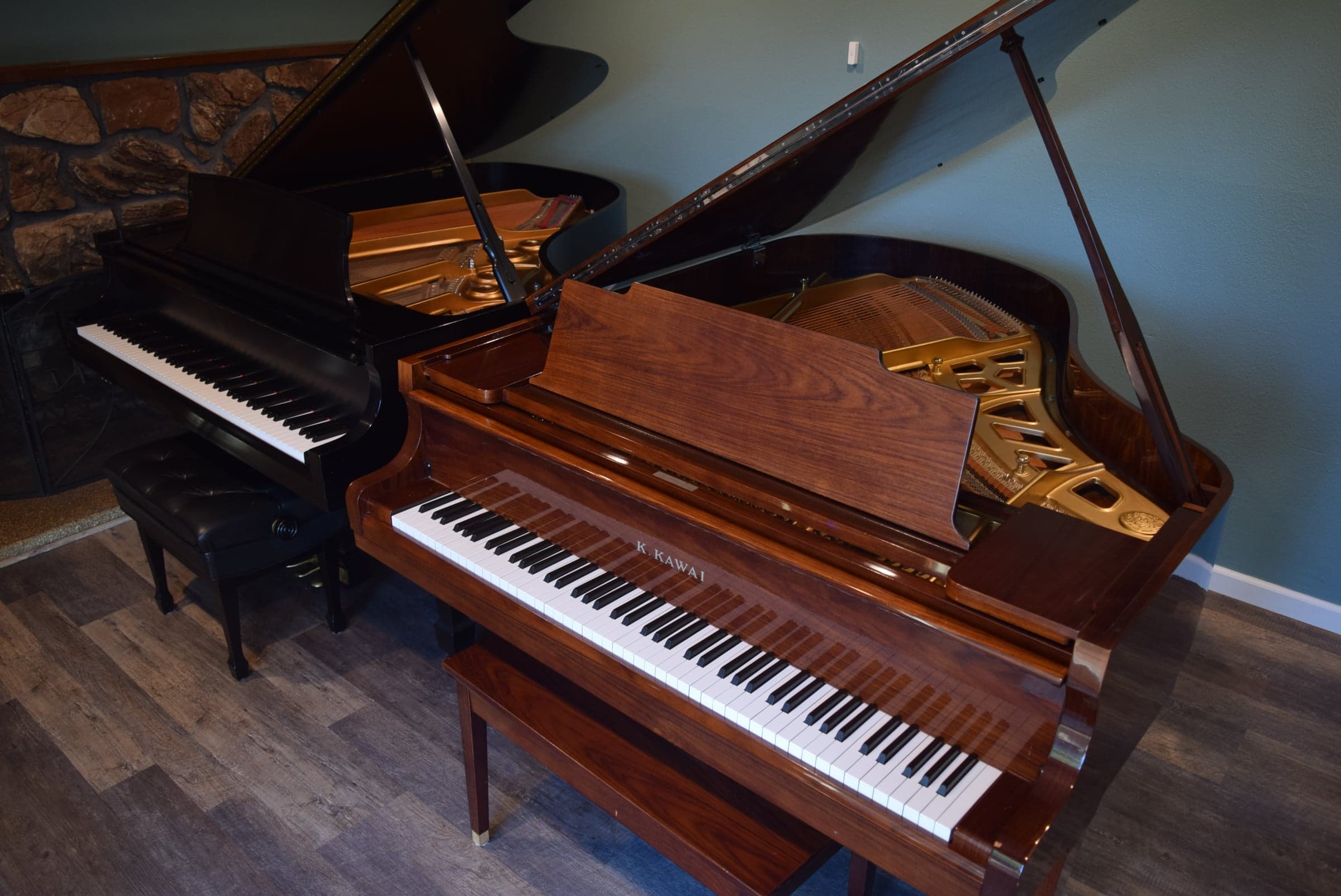 Professional piano instruction and performance